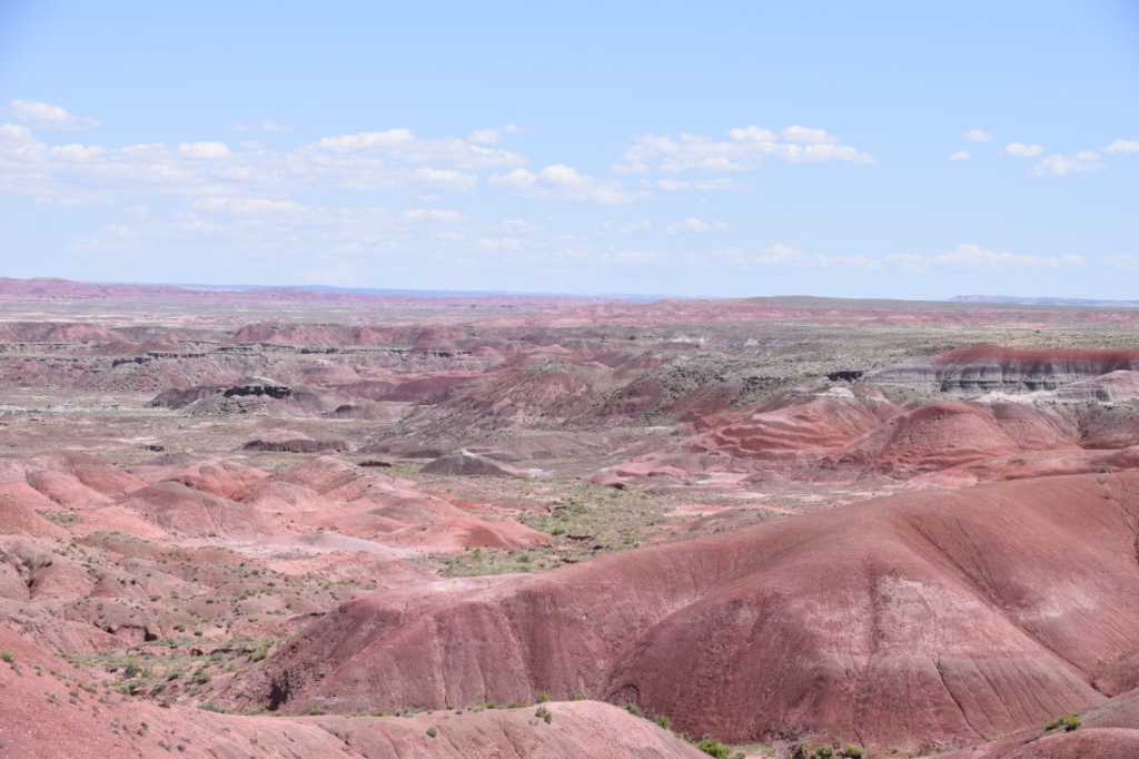 DSC_0030Mittel_.JPG